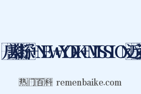 唐人街探偵+NEW+YORK+MISSION近义词是什么意思的图片